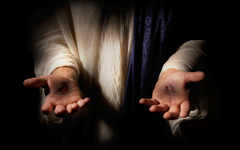 I Will Have Mercy, Not Sacrifice