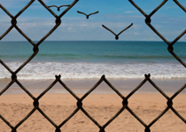 The Hijacking of Empathy and Equality