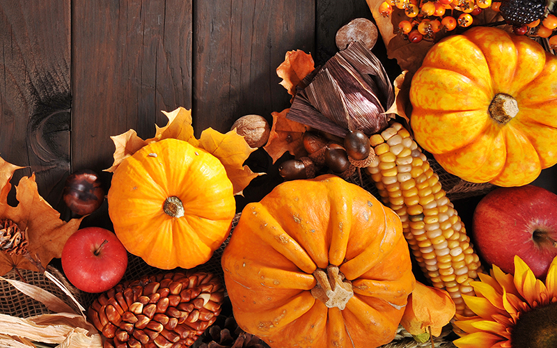 Wealth and Freedom, Thanksgiving and Joy