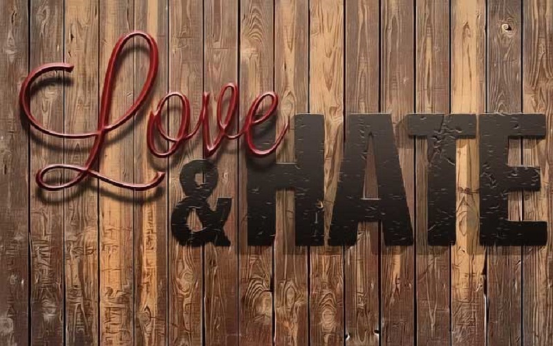 What I Like and Hate About the Church