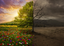 Two Marches: A Study in Contrasts