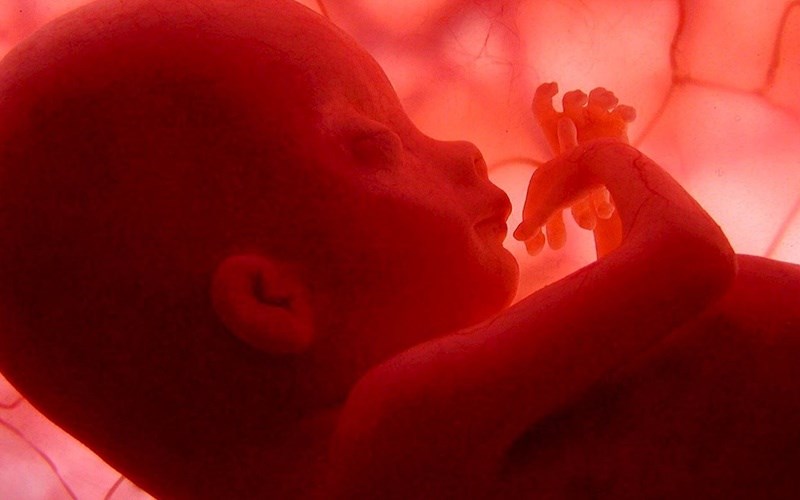 Alabama Supreme Court Recognizes the Unborn as Persons
