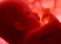 Alabama Supreme Court Recognizes the Unborn as Persons