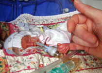 "22 Weeks" New Pro-Life Evidence