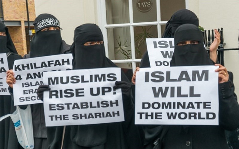 Pro-Muslim, Anti-Islam