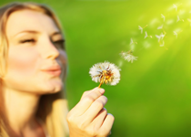 The Virtuous Woman