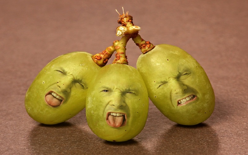 sourgrapes.jpg?anchor=center&mode=crop&w