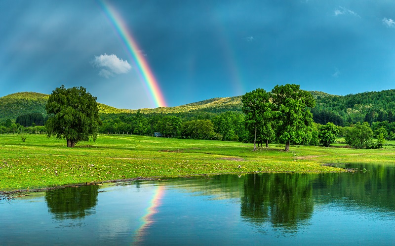 Rainbows