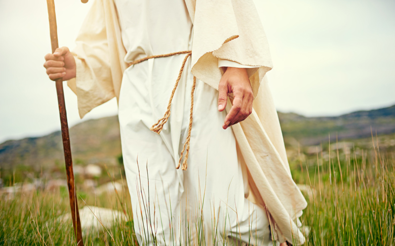 A Glimpse of the Good Shepherd
