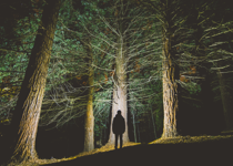 It’s Not a Witch-Hunt; It’s a Snipe Hunt