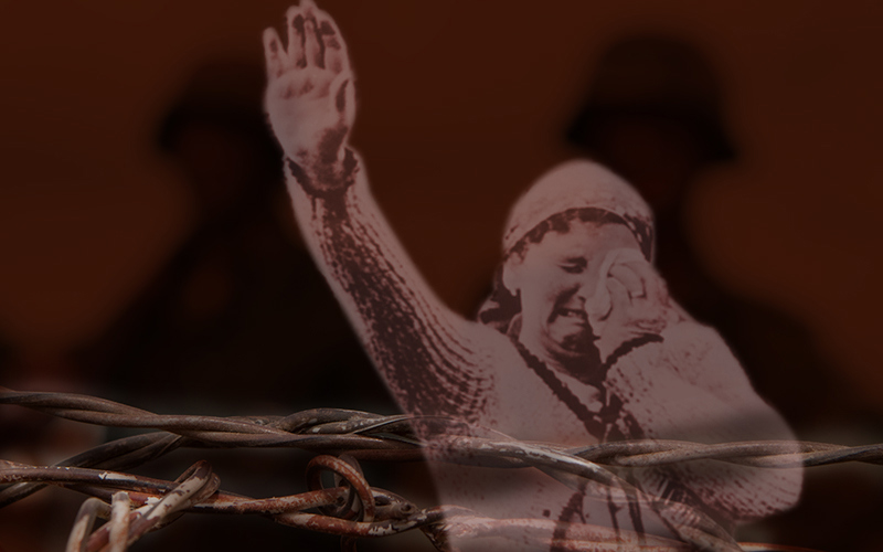Just What Is Fascism Anyway?