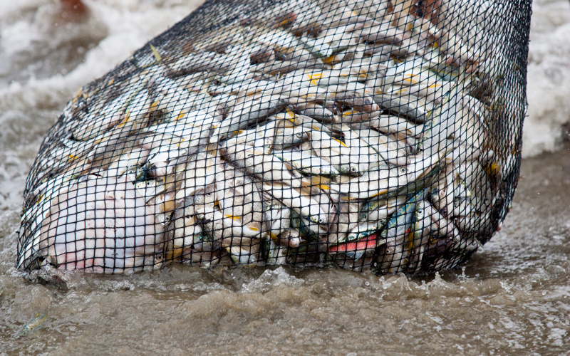 Keep on Fishing