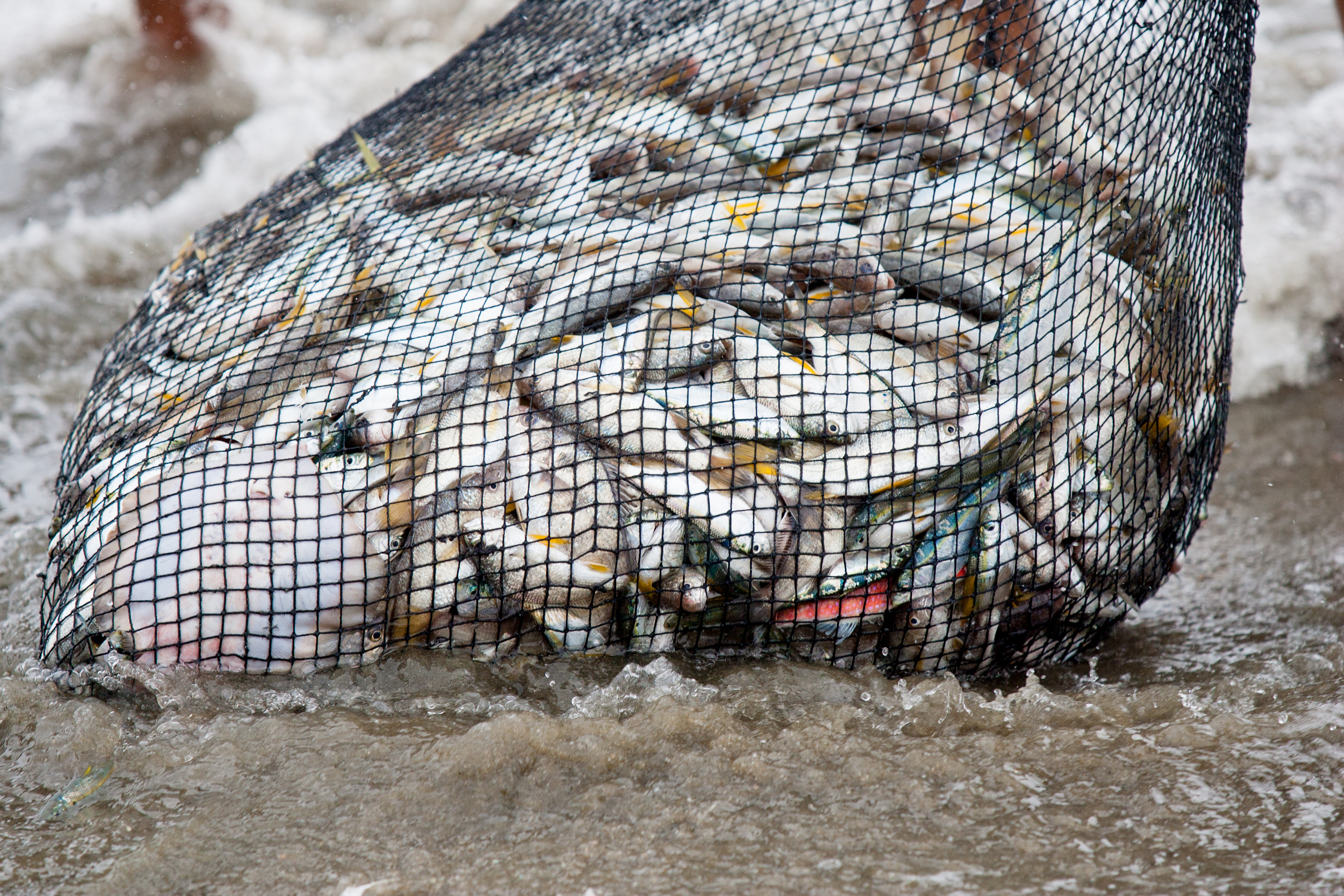 Keep on Fishing