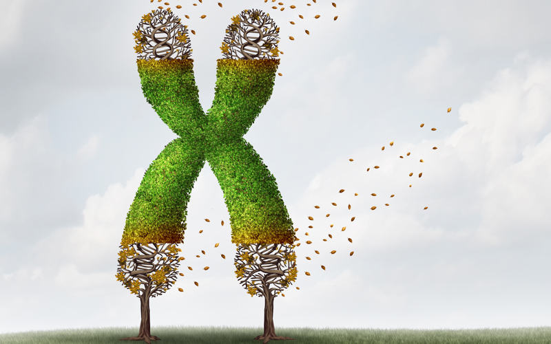 DNA Evidence: Effects of Fatherlessness