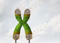 DNA Evidence: Effects of Fatherlessness