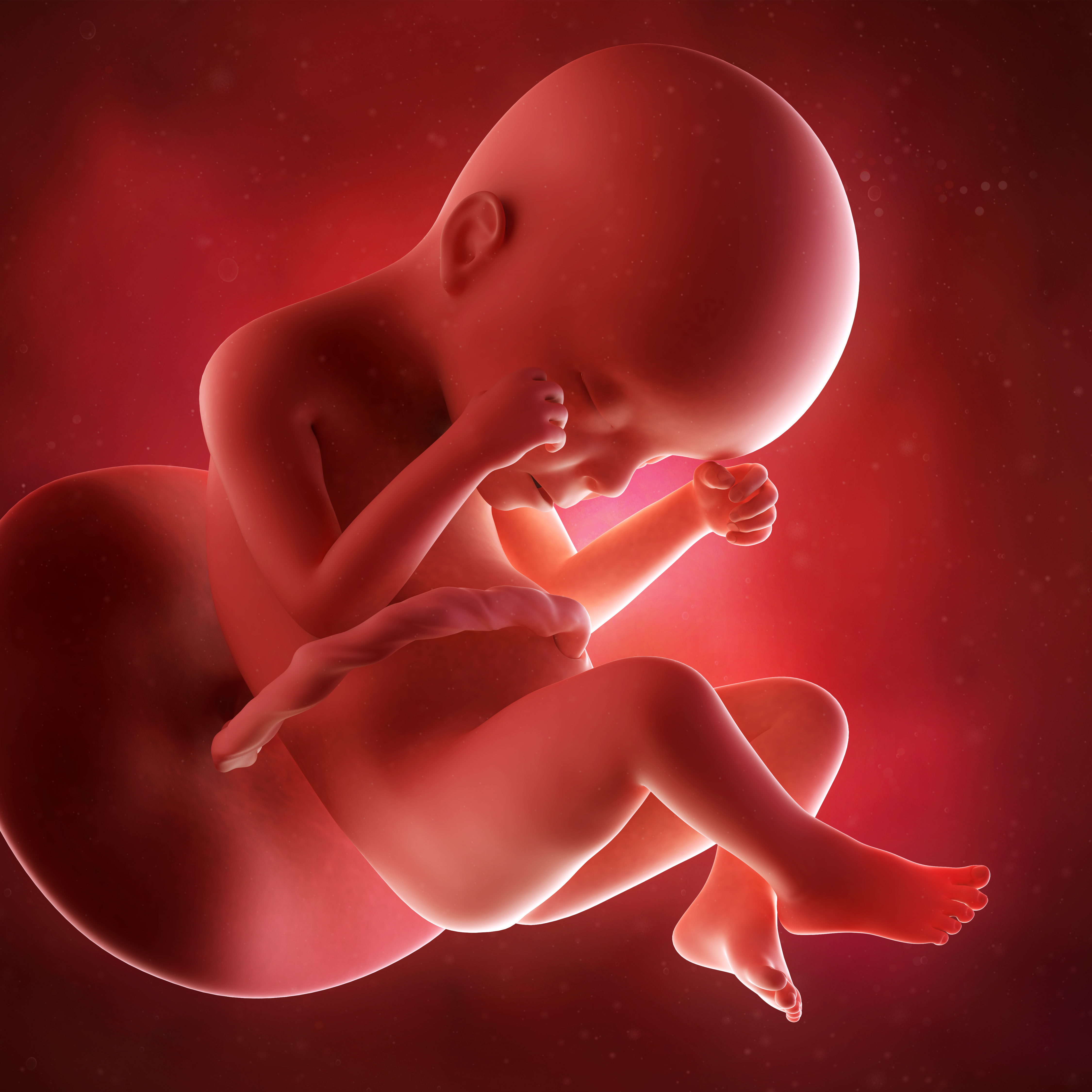 House to Vote on Banning Abortion After 20 Weeks Gestation