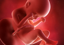 House to Vote on Banning Abortion After 20 Weeks Gestation