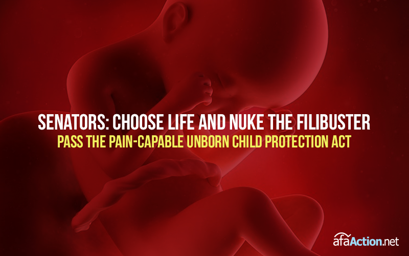 Tell Senators to choose life and nuke filibuster