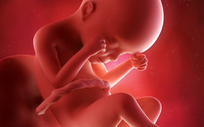 Tell Senators to Choose Life and Nuke Filibuster