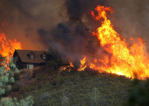 Environmentalists Share Blame for Raging Forest Fires