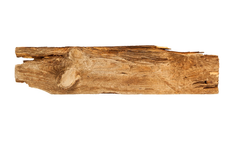 The Broken Beam