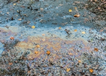 The Foul Stench in Washington