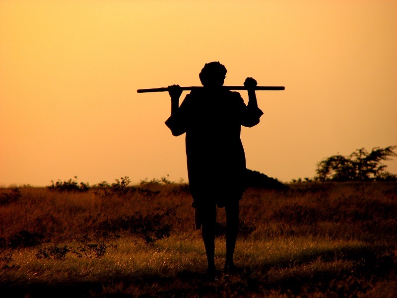 The "Unexpected Power" in Psalm 23 (Part 1)