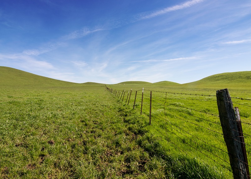 The "Unexpected Power" in Psalm 23 (Part 2)