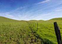 The "Unexpected Power" in Psalm 23 (Part 2)