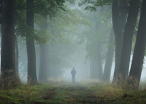 The "Unexpected Power" in Psalm 23 (Part 3)