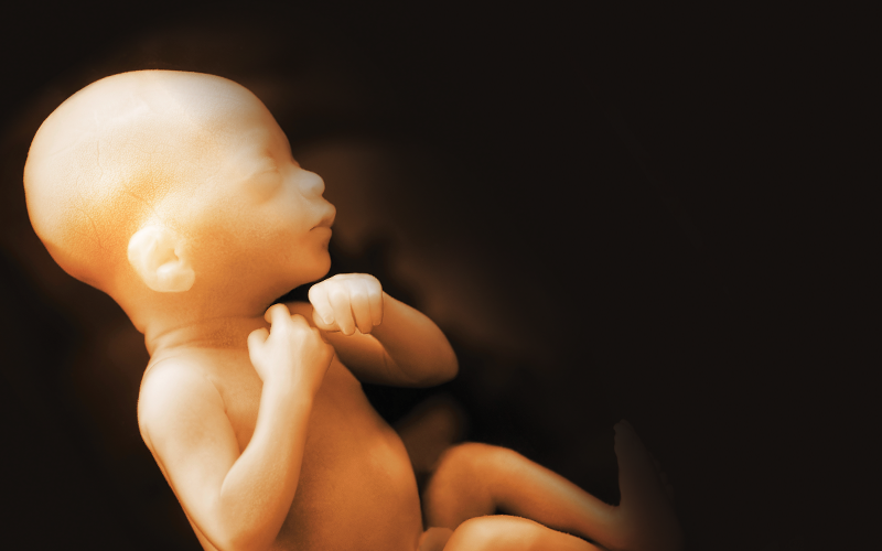 Mississippi Passes 15 Week Abortion Ban