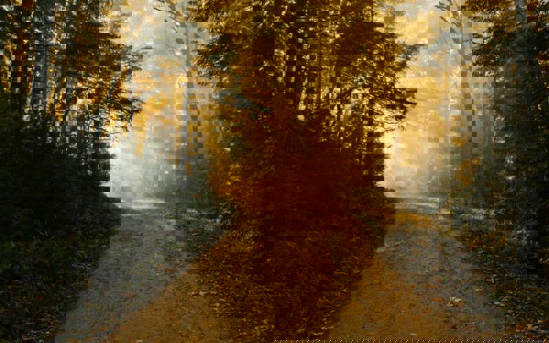 The Road to Emmaus - and Understanding