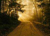 The Road to Emmaus - and Understanding