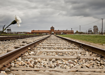 Why We Still Remember the Holocaust
