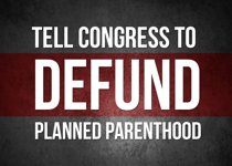 It's Time to Make Your Voice Heard