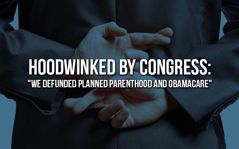 Hoodwinked by Congress