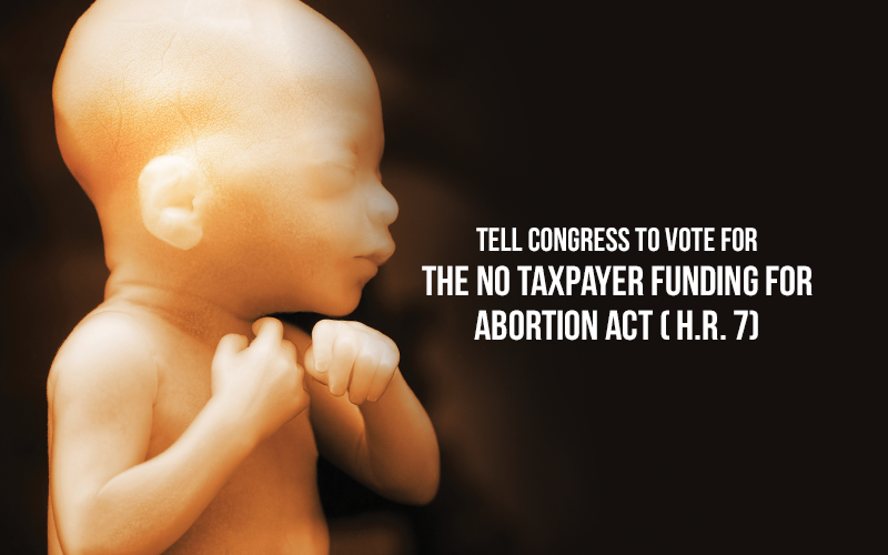 End Federally Funded Abortions Now