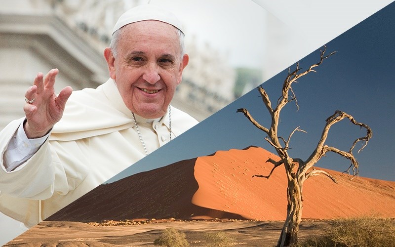 The Pope's View of the Environment