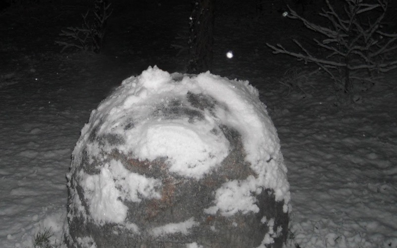 Max the Snowman
