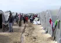 Lawmakers Say It's Time to Reconsider Islamic Immigration
