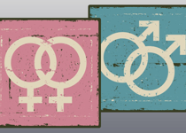 Homosexual Relationships Cannot Satisfy the Purposes of Marriage
