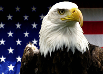 The Coming Election
