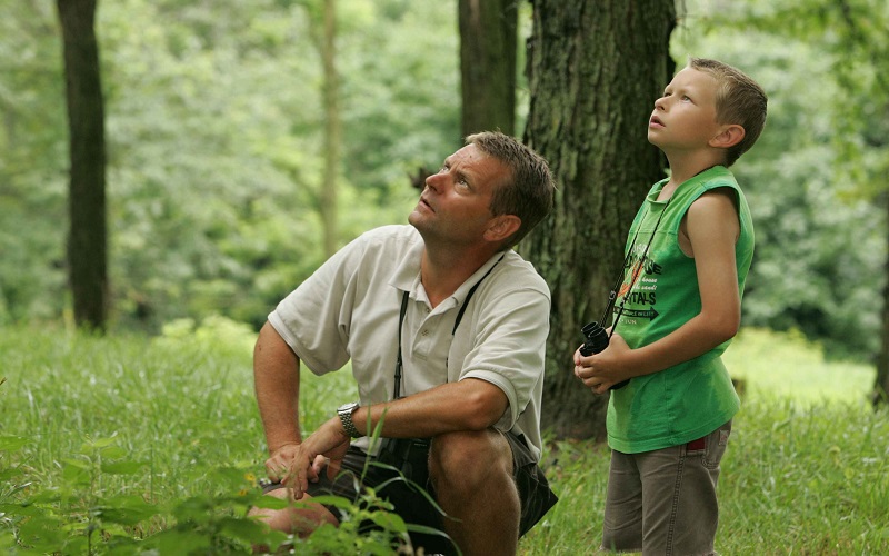 The Damage Done by Fatherlessness