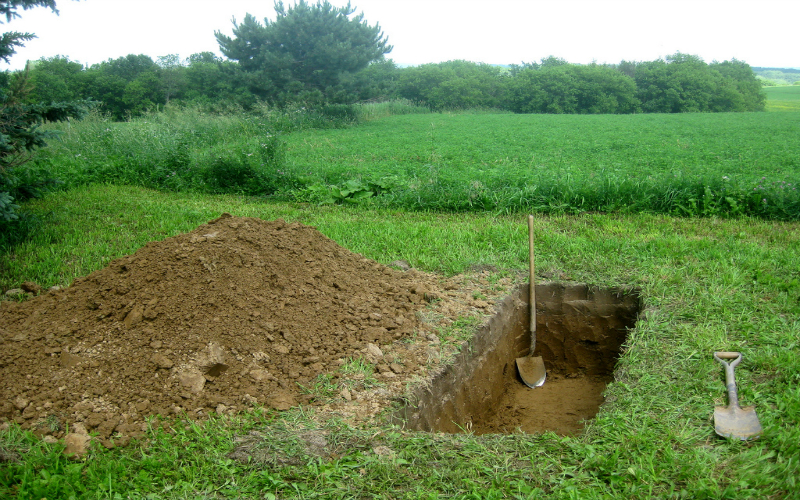 Are you still in your grave?