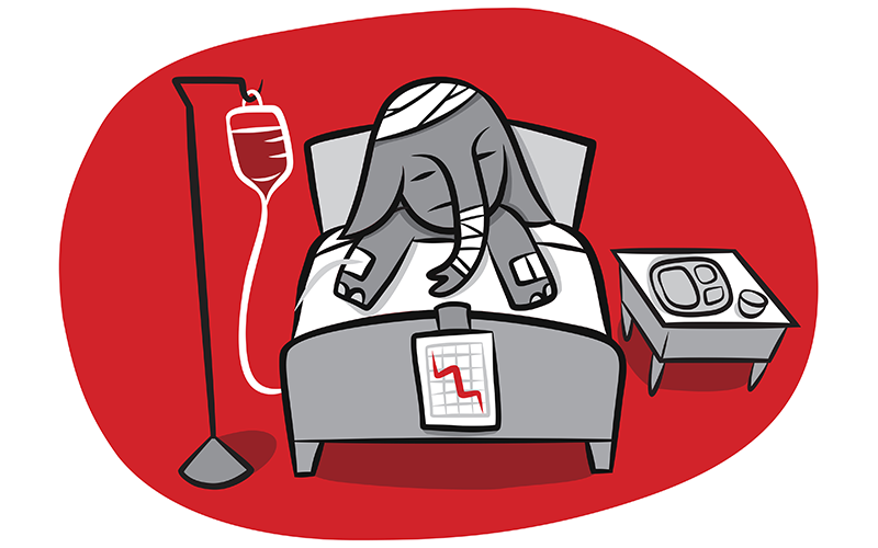 What Happens to the GOP on Nov. 9?