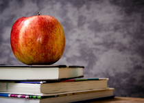On Tuesday, You Will Be Voting on School Choice