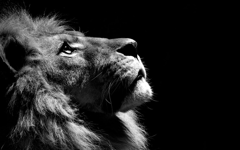Yes, God Will Still Be on the Throne, but...