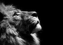 Yes, God Will Still Be on the Throne, but...