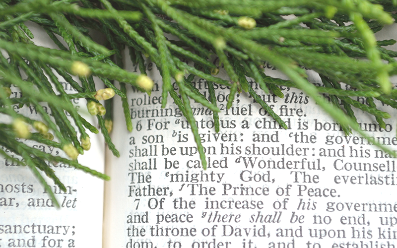 Christmas in the Old Testament