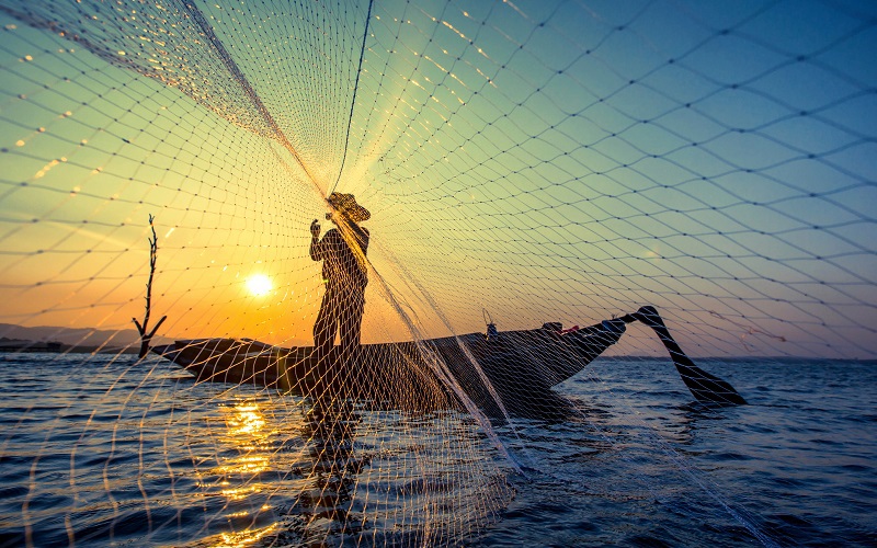 Special Prosecutors and Their Fishing Nets